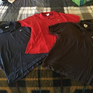 Lacoste polo Bundle